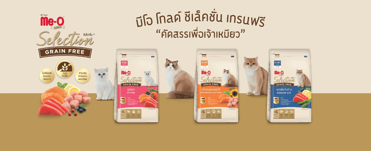 อาหารแมว grain free