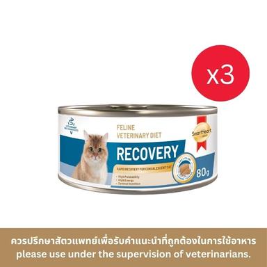 alt-text-5